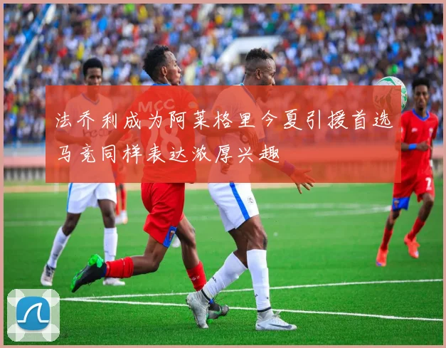 法乔利成为阿莱格里今夏引援首选马竞同样表达浓厚兴趣